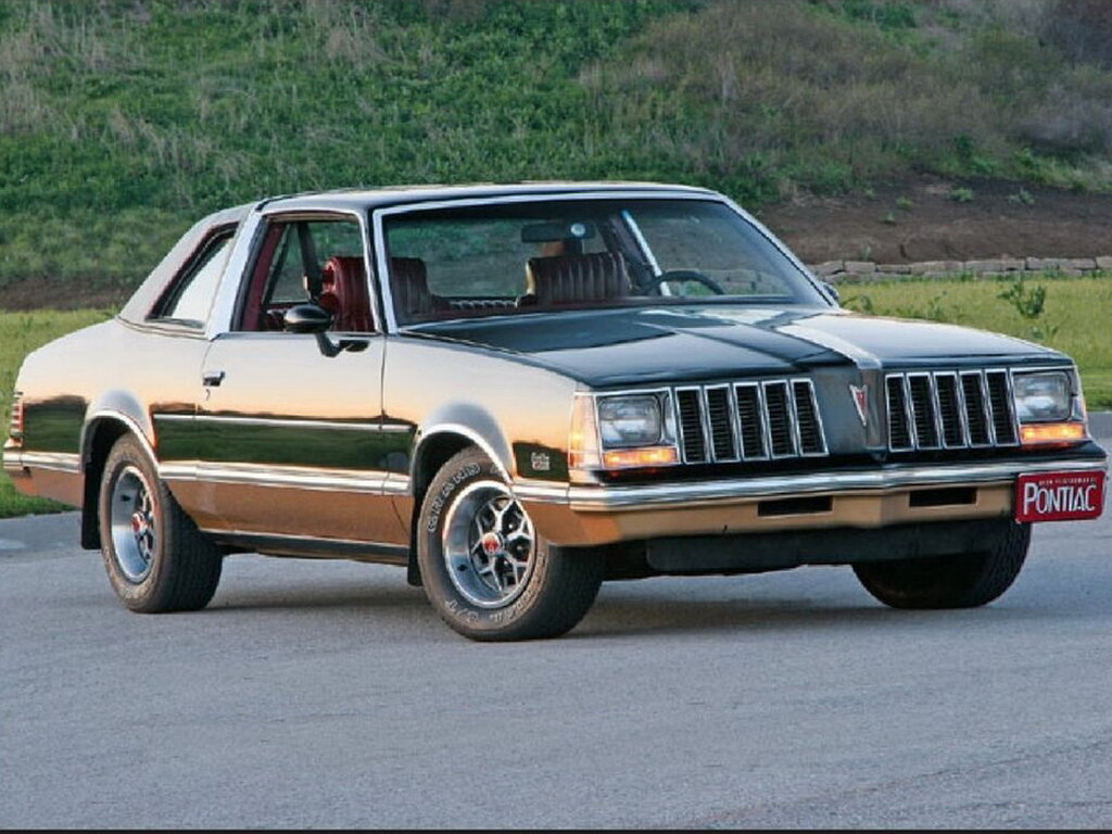 Pontiac Grand Am (G27) 2 поколение, купе (10.1977 - 09.1979)